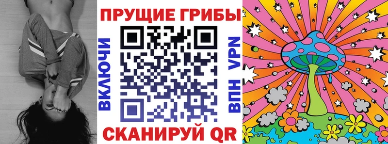mega ONION  нарко площадка официальный сайт  Галлюциногенные грибы прущие грибы  Пущино 